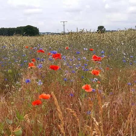 شقة Naturblick Am Kummerower Neukalen